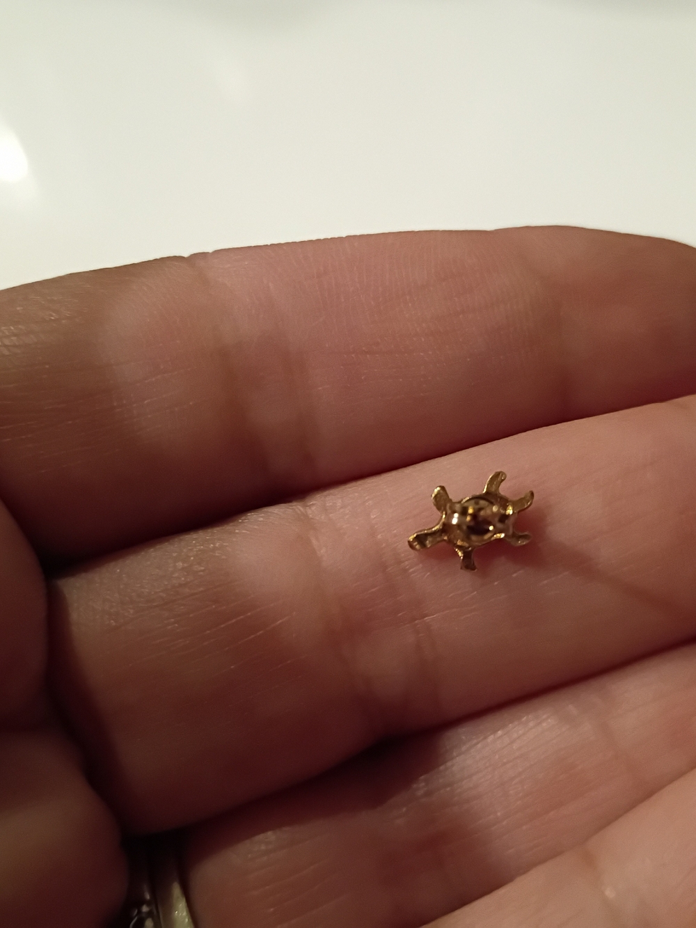 Gold Turtle Earring - Picture 2 of 3